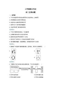 高二上学期期末人教版生物试题 无答案