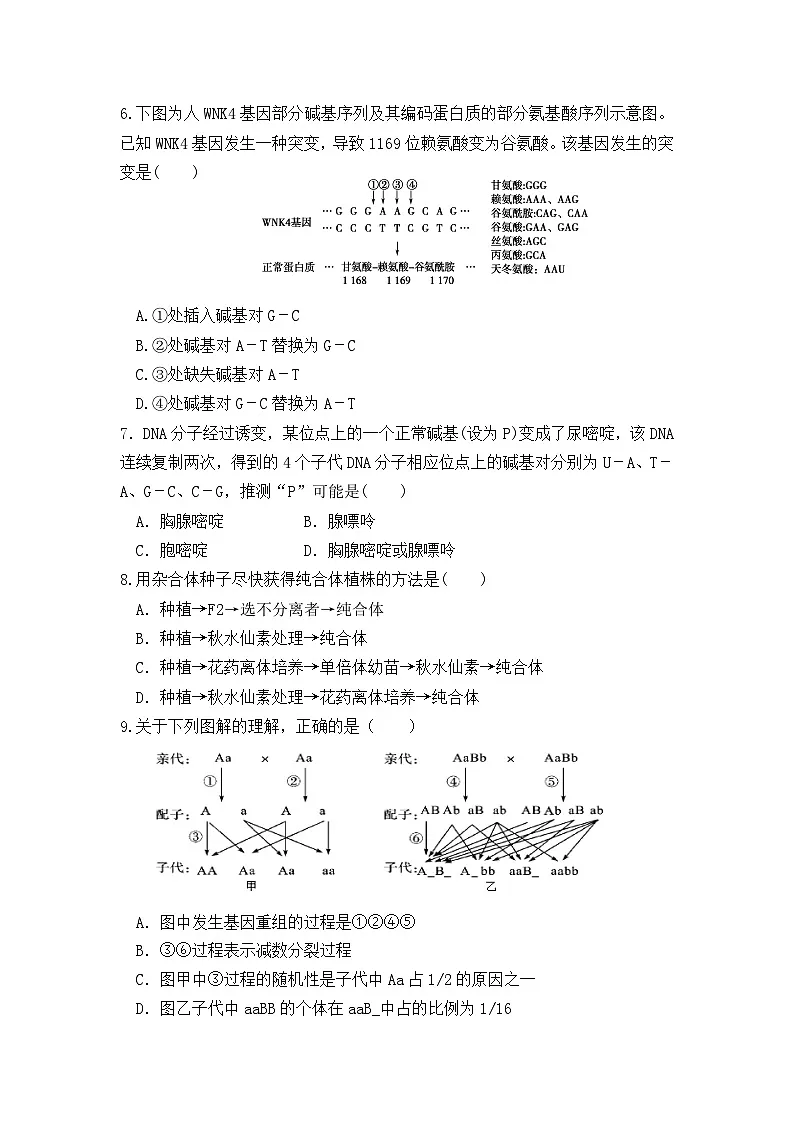 高二上学期期末考试人教版生物试题 无答案第2页