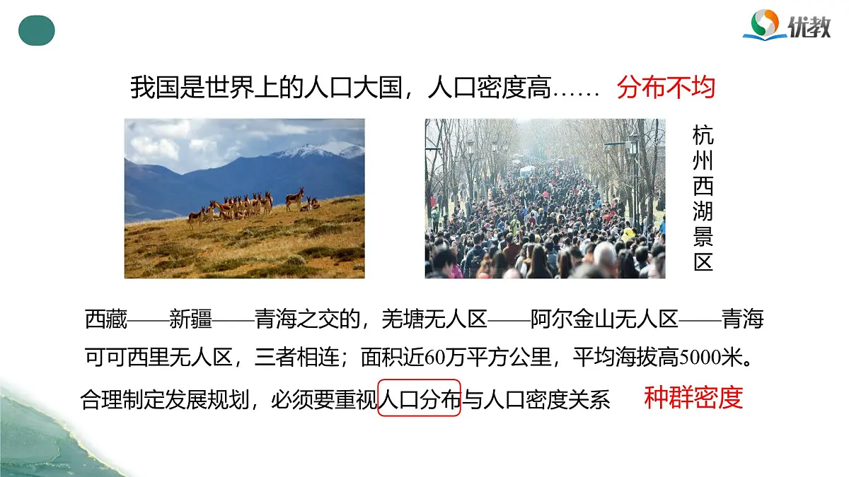人教版高中生物选修2《1-1种群的数量特征》课件第5页