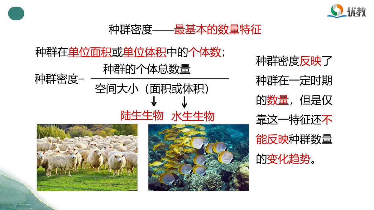 人教版高中生物选修2《1-1种群的数量特征》课件第6页