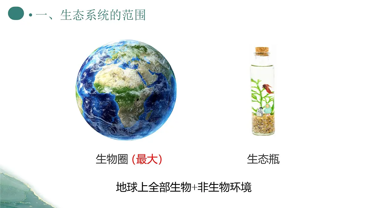 人教版高中生物选修2《3-1生态系统的结构(第1课时)》课件第5页