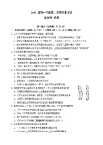 广东省汕头市金山中学2024-2025学年高一下学期期末考试生物试卷(Word版附答案)