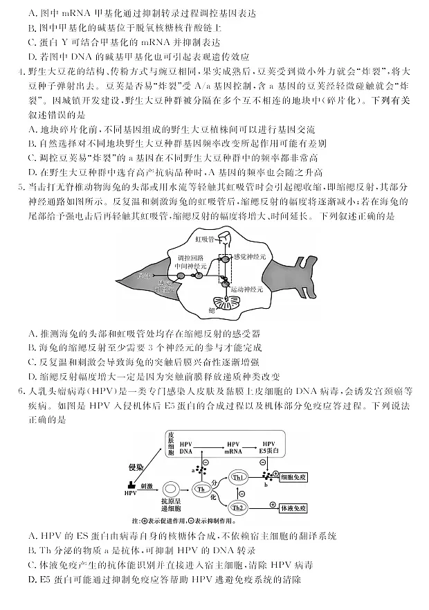 河南省2024-2025学年高二下学期期末多校联考考试生物学试卷第2页