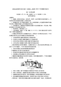 湖北省孝感市高中2024-2025学年高一下学期7月期末联考生物学试卷