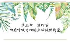 3.4 细胞呼吸为细胞生活提供能量（教学课件）-2025-2026学年高中生物必修1（浙科版2019）