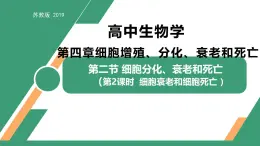 4.2 细胞分化、衰老和死亡 第2课时（教学课件）-2025-2026学年高中生物必修1（苏教版2019）