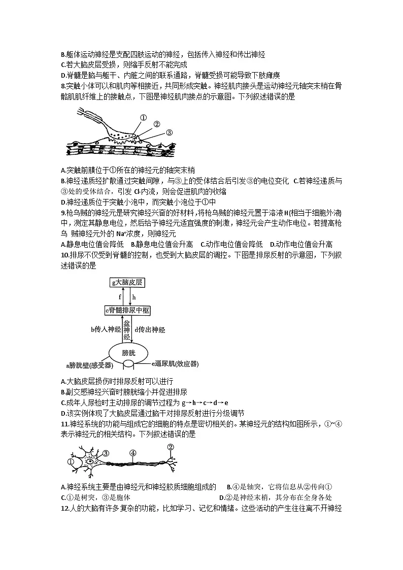 河南省创新发展联盟2024-2025学年高二上学期9月月考生物试题第2页