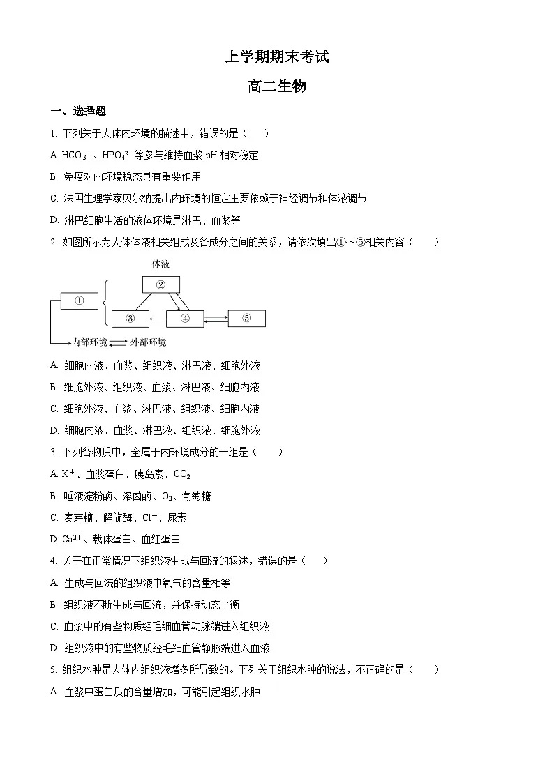 高二上学期期末人教版生物试题 (人教版高中生物选修2 无答案)第1页