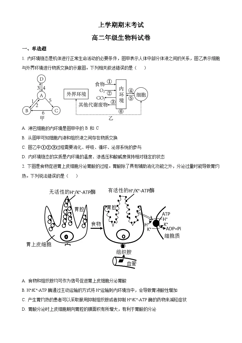 高二上学期期末人教版生物试题 无答案第1页