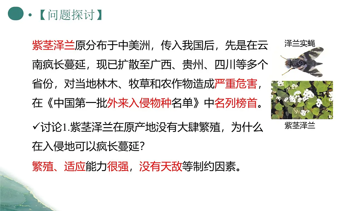 人教版高中生物选修2《3-5 生态系统的稳定性》课件第2页