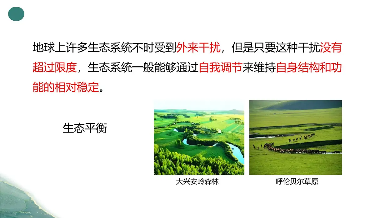 人教版高中生物选修2《3-5 生态系统的稳定性》课件第4页