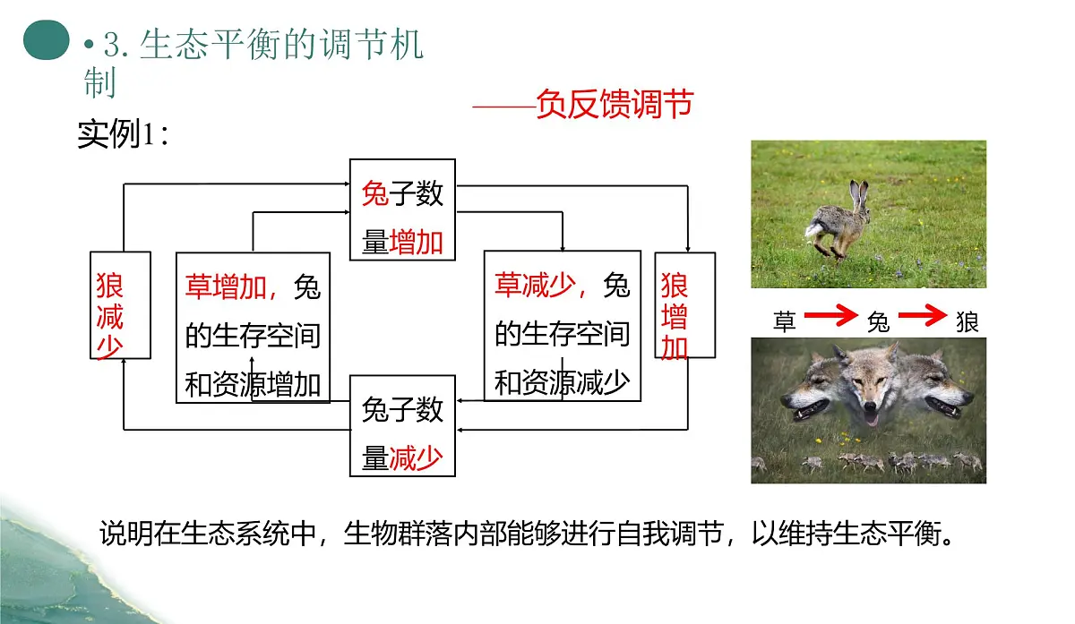 人教版高中生物选修2《3-5 生态系统的稳定性》课件第8页
