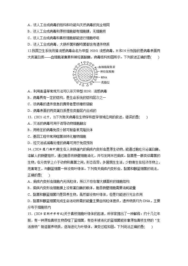 【备考2026】高考生物一轮复习资源:第1单元 课时练1 走近细胞(课时精练)(学生版)第3页