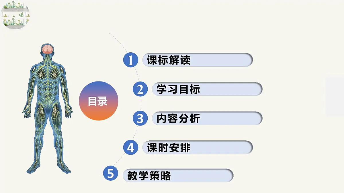 人教版高中生物选修1《第二章 神经调节(单元解读课件)》课件第3页
