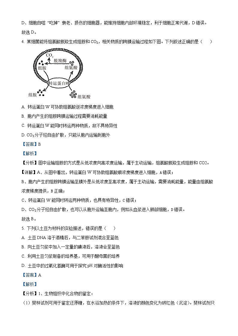 2025高考四川卷生物真題試卷（解析版）第3頁(yè)
