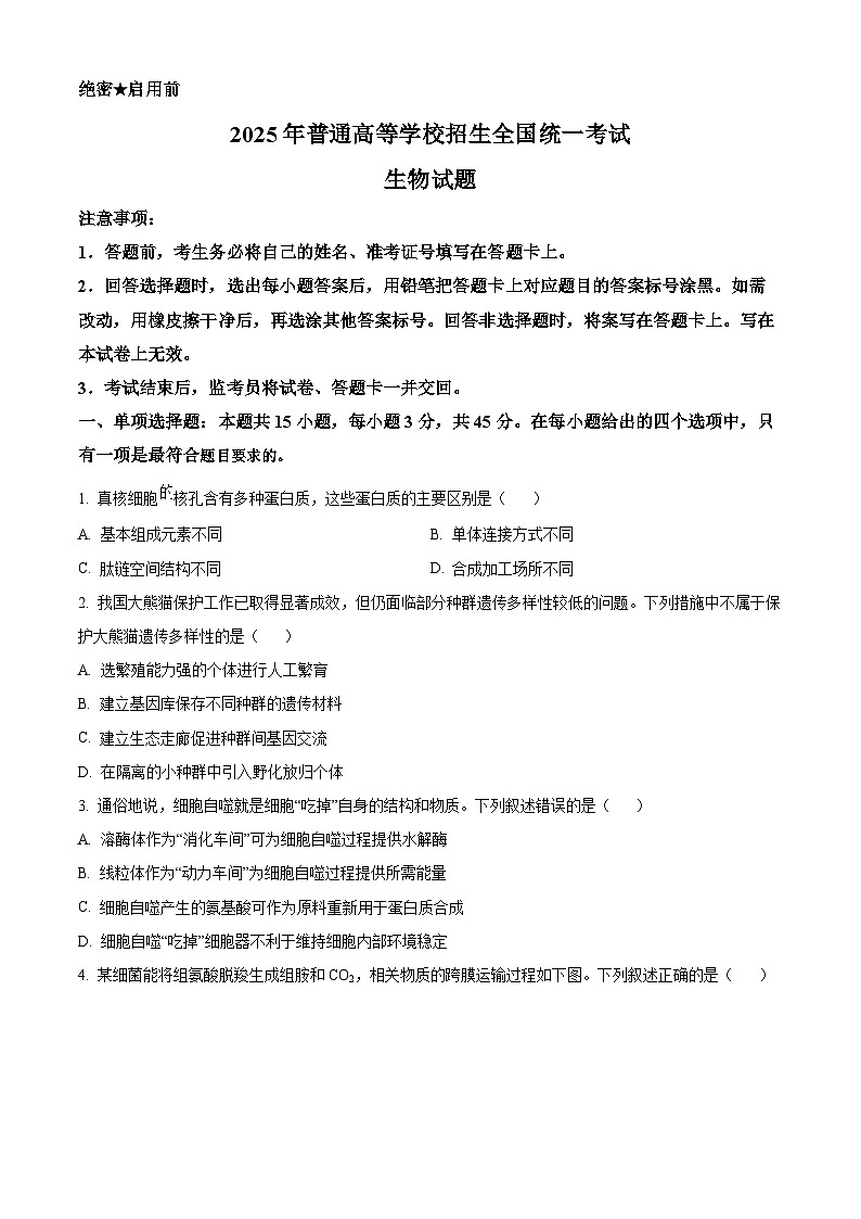 2025高考四川卷生物真題試卷（原卷版）第1頁(yè)