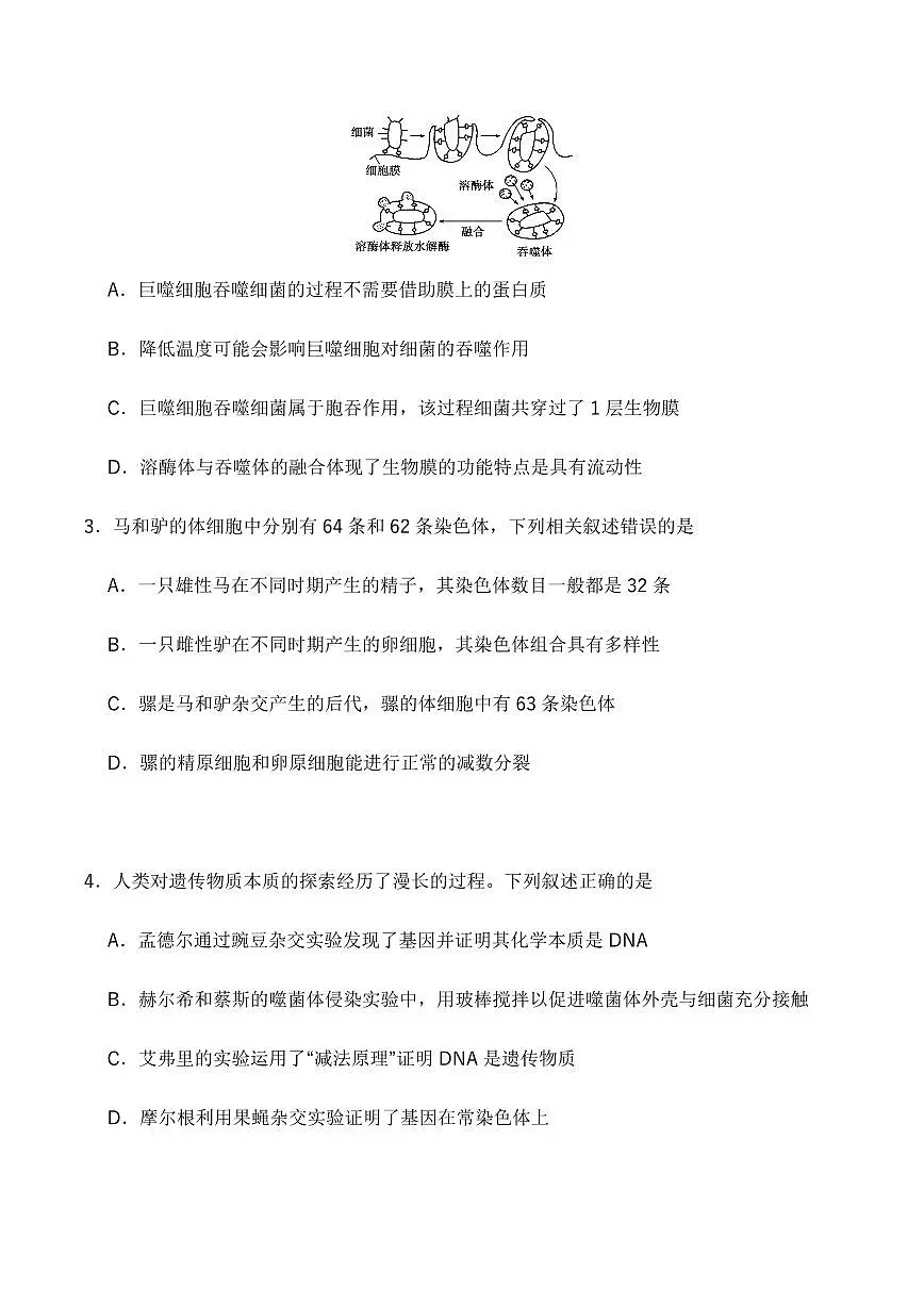 四川省字节教育2025届新高二下学期7月第零次诊断性模拟考-生物试题+答案第2页