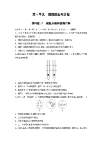 【备考2026】高考生物一轮复习资源：第4单元 课时练17 减数分裂和受精作用（课时精练）（学生版）