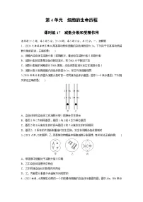 【备考2026】高考生物一轮复习资源：第4单元 课时练17 减数分裂和受精作用（课时精练）（学生版）