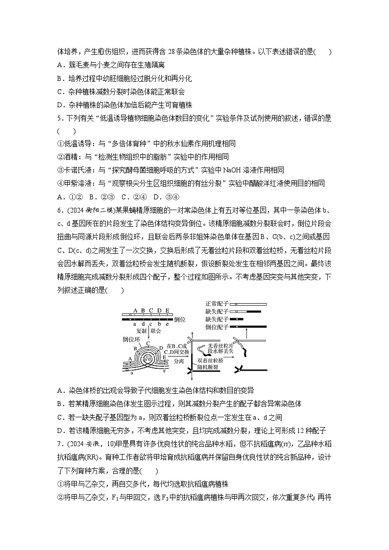 【备考2026】高考生物一轮复习资源:第7单元 课时练30 染色体变异(课时精练)(学生版)第2页