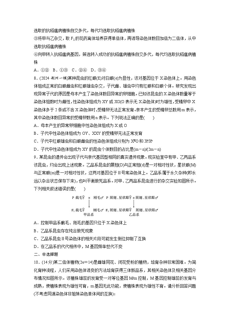 【备考2026】高考生物一轮复习资源:第7单元 课时练30 染色体变异(课时精练)(学生版)第3页