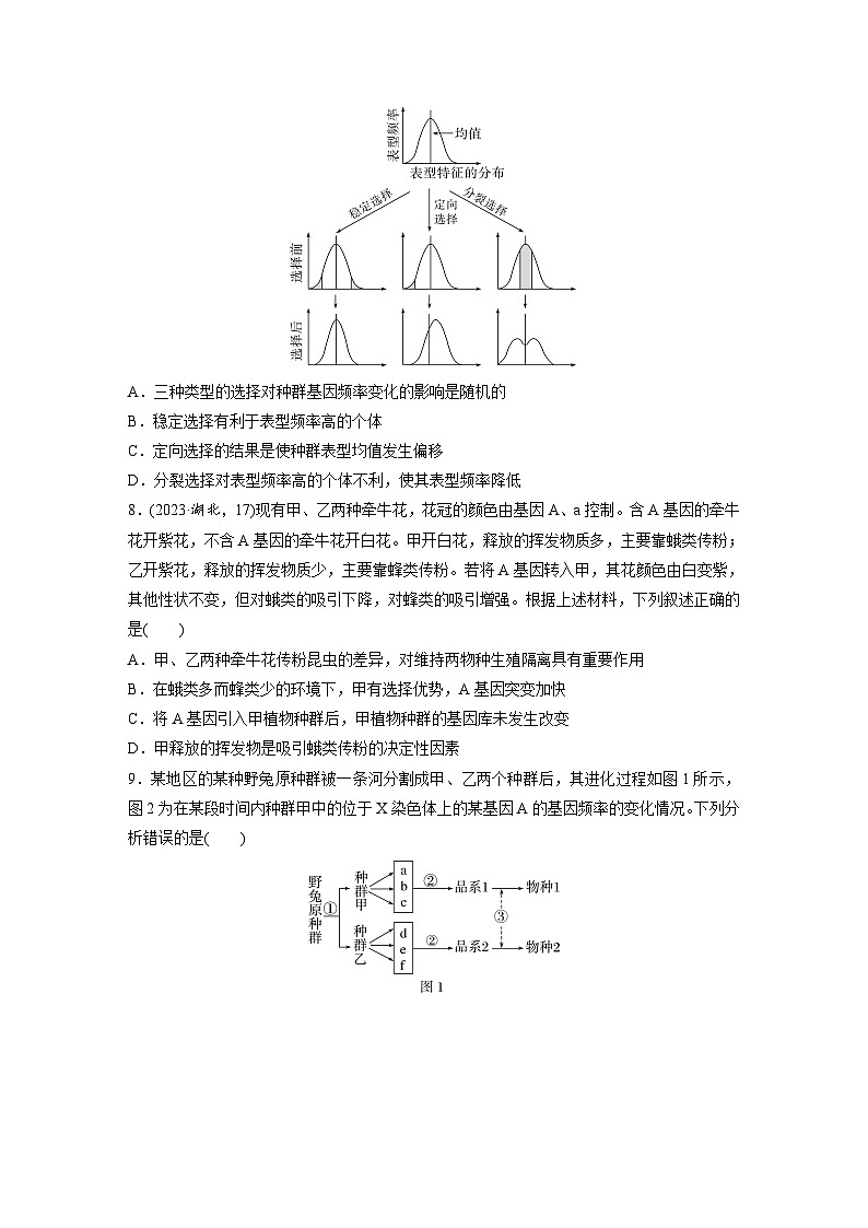 【备考2026】高考生物一轮复习资源:第7单元 课时练31 生物的进化(课时精练)(学生版)第3页