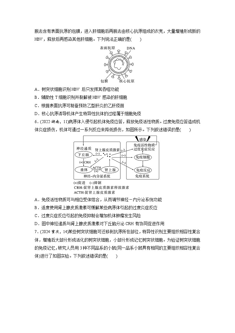 【备考2026】高考生物一轮复习资源:第8单元 课时练38 免疫系统的组成、功能及特异性免疫(课时精练)(学生版)第2页