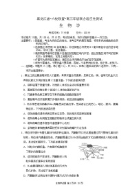 黑龙江省“六校联盟”2025届高三上学期联合适应性考试生物试卷（含答案）