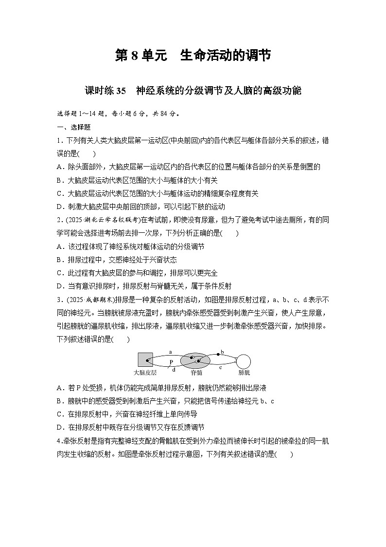 【备考2026】高考生物一轮复习资源:第8单元 课时练35 神经系统的分级调节及人脑的高级功能(课时精练)(学生版)第1页