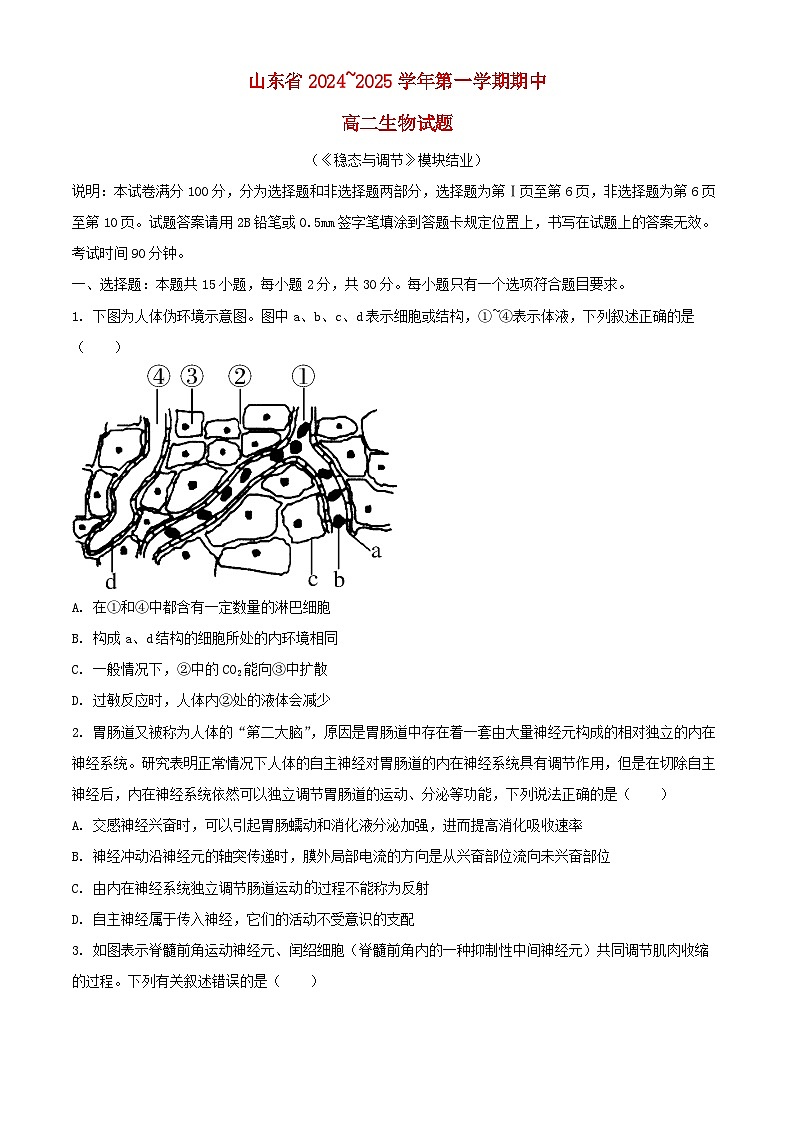 山東省2024_2025學(xué)年高二生物上學(xué)期11月期中試題含解析第1頁(yè)