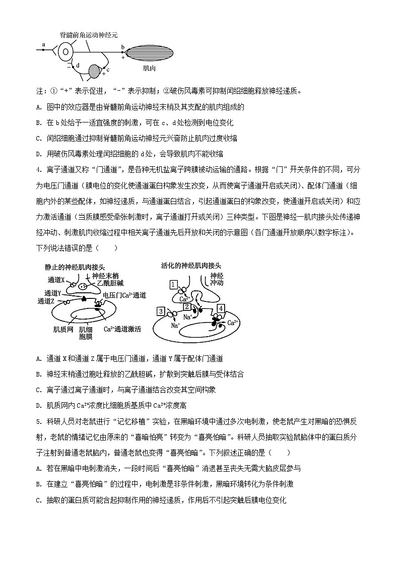 山東省2024_2025學(xué)年高二生物上學(xué)期11月期中試題含解析第2頁(yè)
