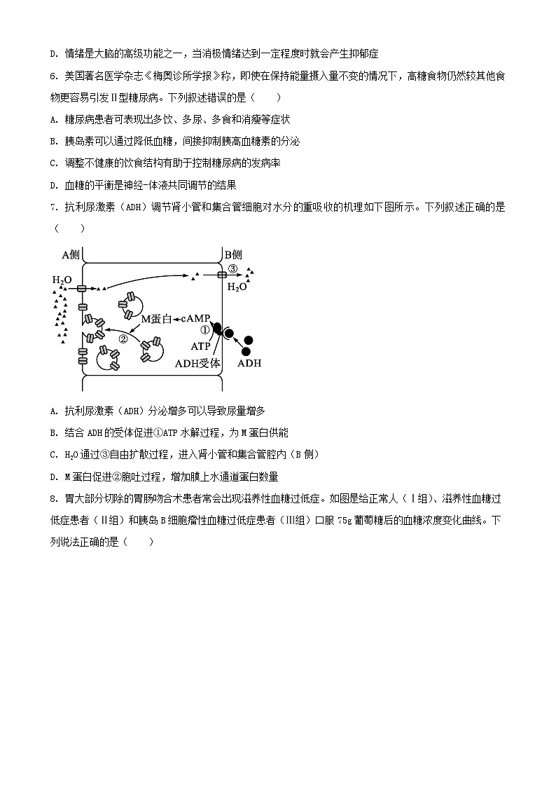 山東省2024_2025學(xué)年高二生物上學(xué)期11月期中試題含解析第3頁(yè)