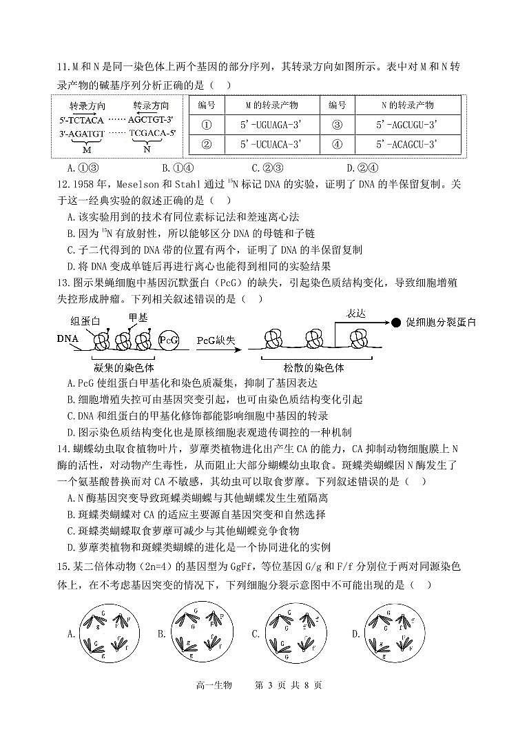 哈三中2024-2025学年度高一下学期期末考试生物试题含答案第3页