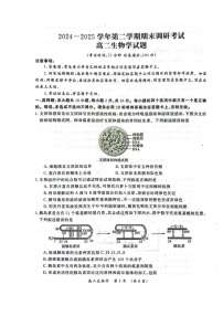 河南省开封市2024-2025学年高二下学期期末考试生物试卷