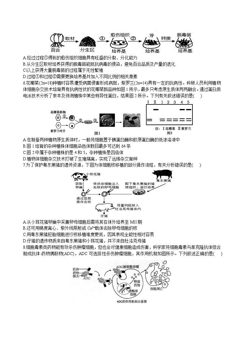 黑龙江省绥化市2024—2025学年高二下学期期末教学质量监测生物试卷+第2页