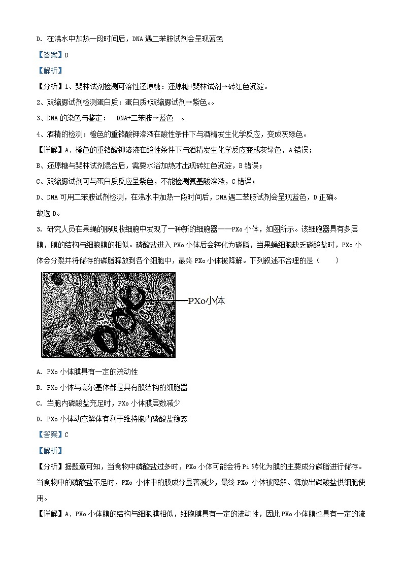 湖北省部分学校2024_2025学年高三生物上学期12月联考试题含解析第2页