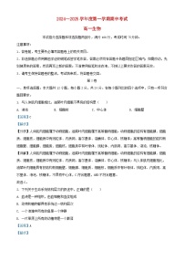 广东省茂名市电白区2024_2025学年高一生物上学期11月期中试题含解析