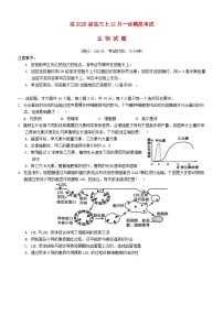 重庆市2024~2025学年高三生物上学期12月一诊模拟考试含解析