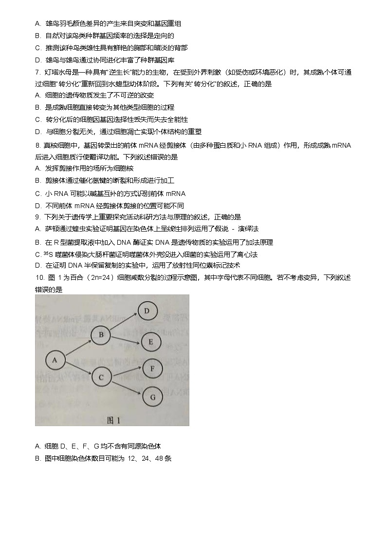 广东省韶关市2024-2025学年高一下学期期末教学质量检测生物试卷(含答案)含答案解析第2页