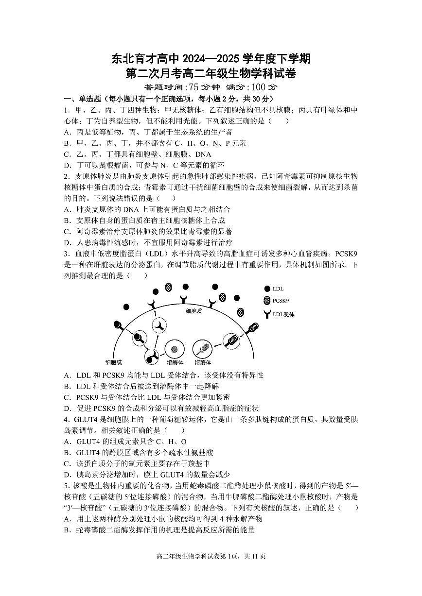 辽宁省沈阳市东北育才学校2024-2025学年高二下学期第二次月考试题 生物 PDF版含答案含答案解析第1页