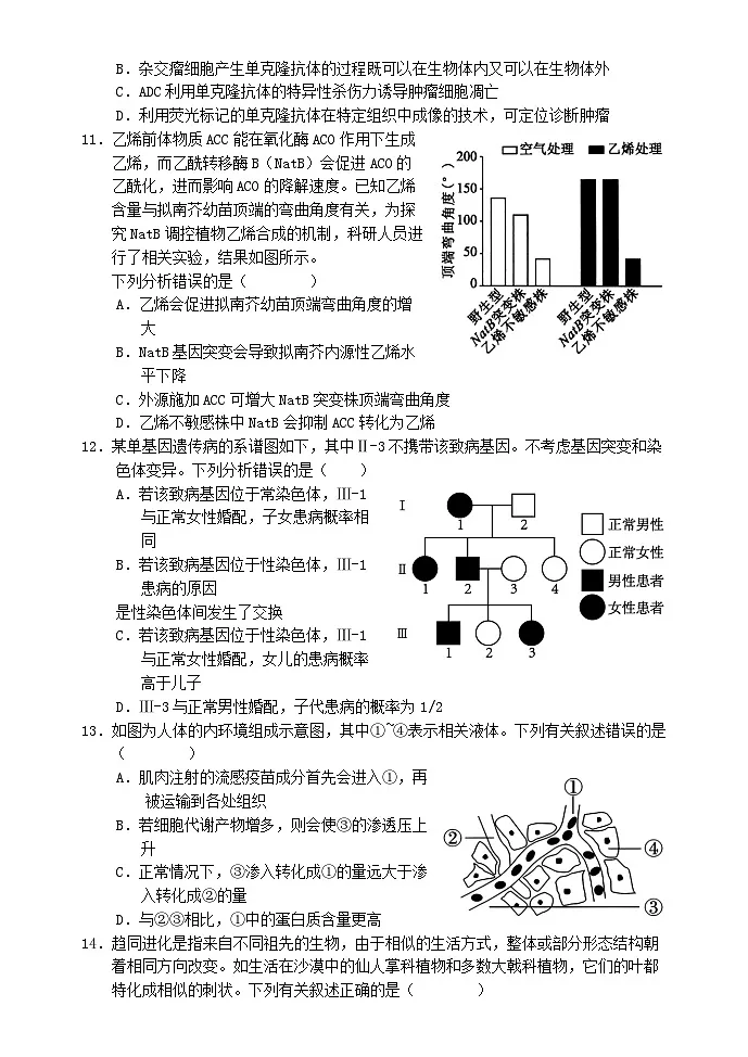 湖北剩州市2024_2025学年高三生物上学期12月月考试题含解析 (1)第3页