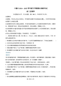 湖北省十堰市2024-2025学年高二下学期期末考试生物试题（Word版附解析）