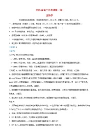 湖南省长沙市2024_2025学年高三生物上学期月考卷四试题含解析