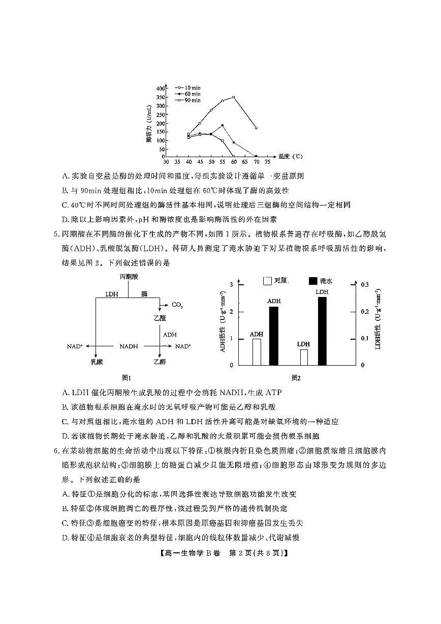 安徽省江淮协作区2024-2025学年高一下学期期末联合监测试题 生物(B卷) PDF版含解析第2页