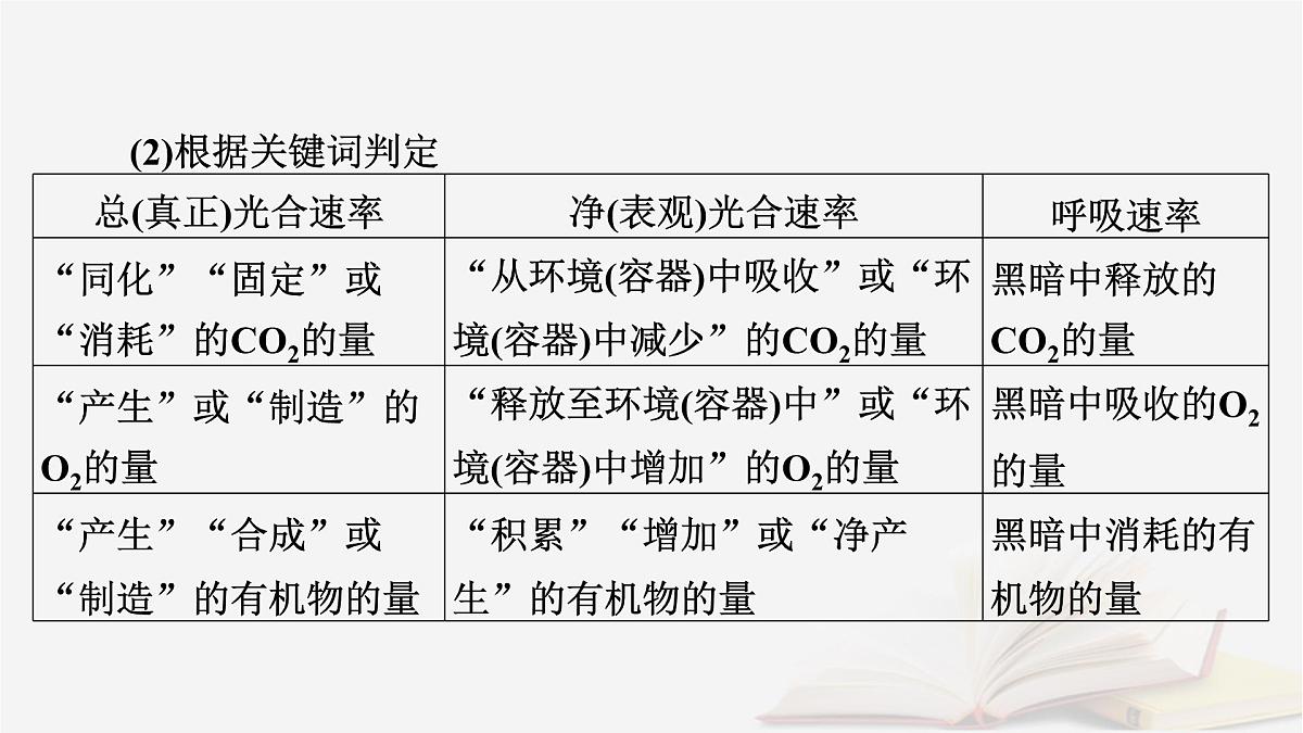2026届高考生物一轮总复习必修1微专题4植物“三率”的判定及测定课件第3页