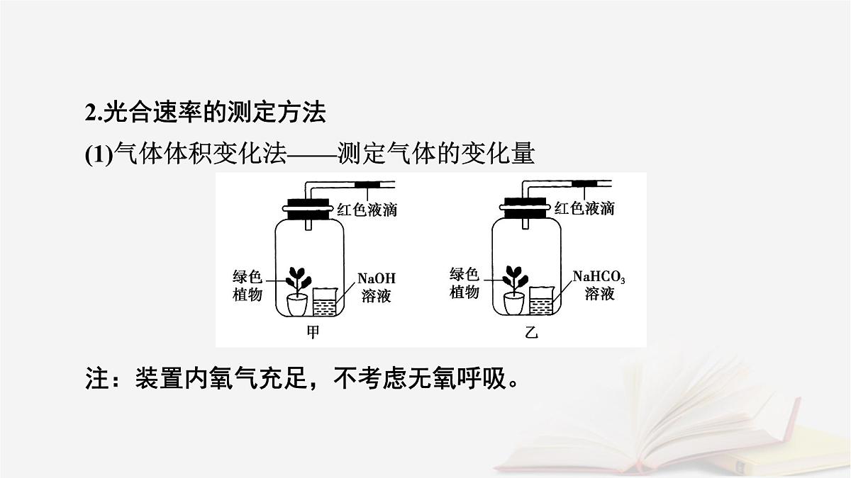 2026届高考生物一轮总复习必修1微专题4植物“三率”的判定及测定课件第4页