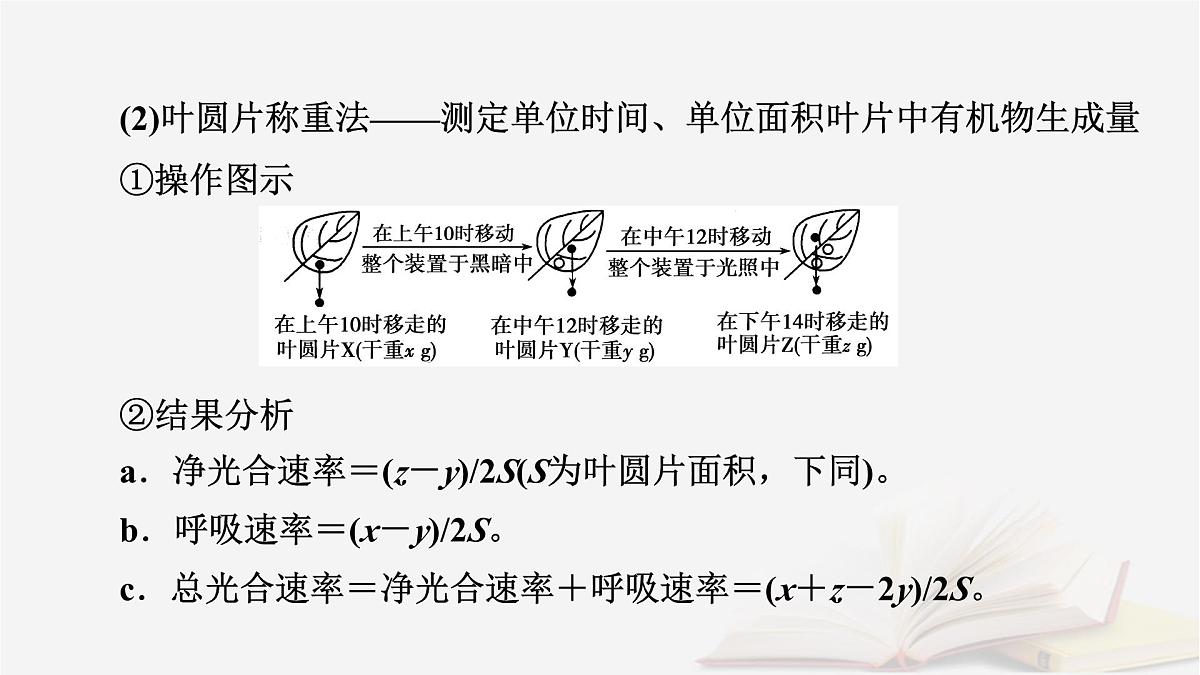2026届高考生物一轮总复习必修1微专题4植物“三率”的判定及测定课件第6页