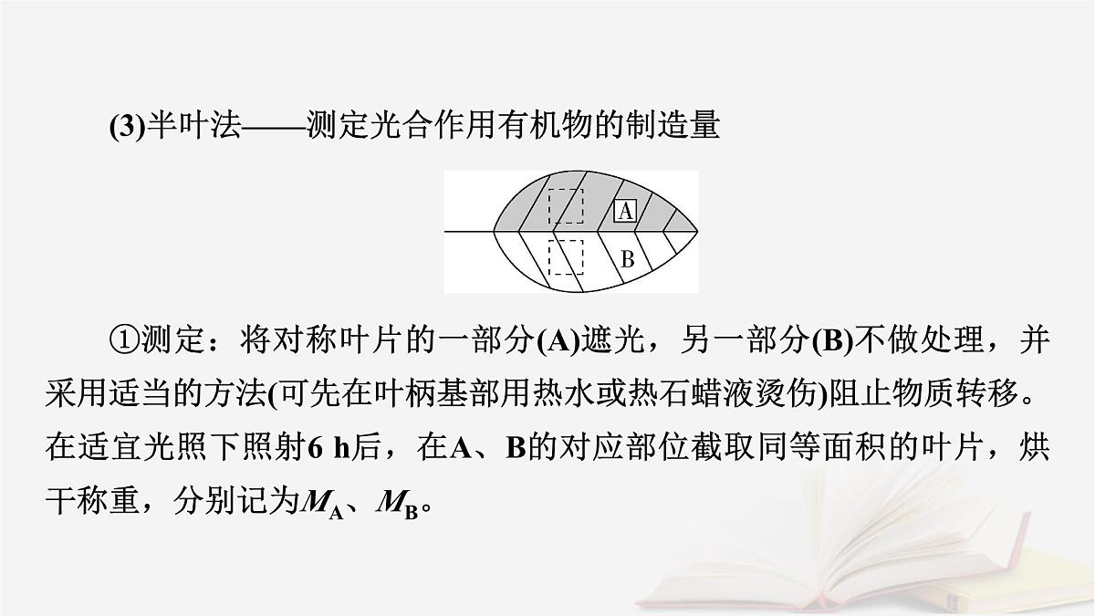 2026届高考生物一轮总复习必修1微专题4植物“三率”的判定及测定课件第7页