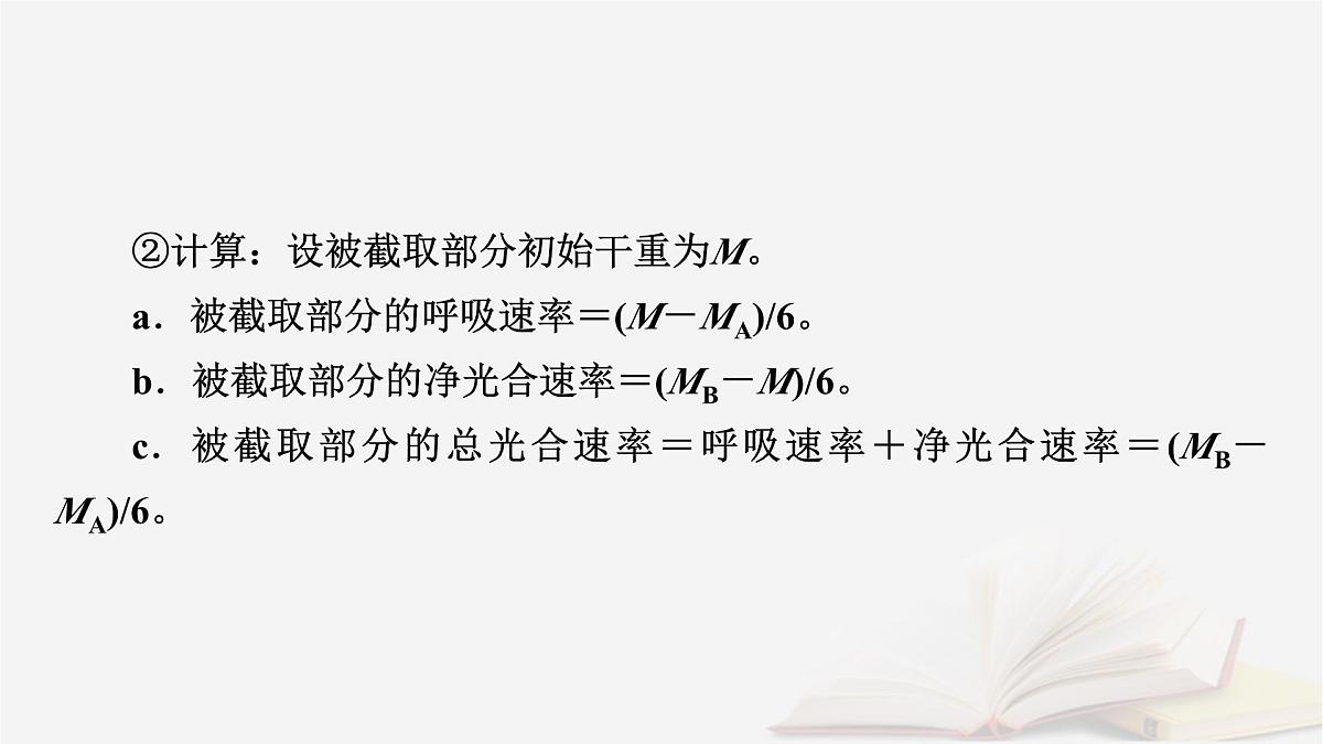 2026届高考生物一轮总复习必修1微专题4植物“三率”的判定及测定课件第8页