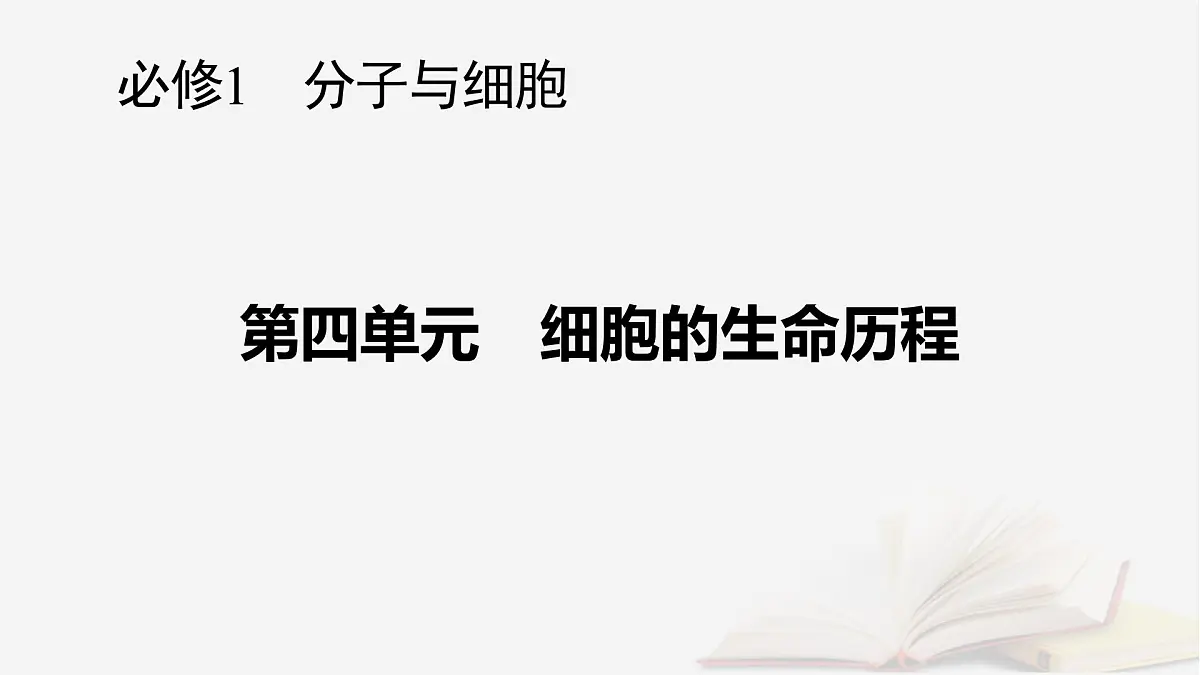 2026届高考生物一轮总复习必修1第4单元细胞的生命历程第2讲细胞的减数分裂和受精作用课件第1页